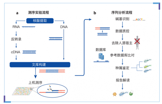 新冠助推mNGS乘风破浪，能否拿下病原微生物检测千亿市场？