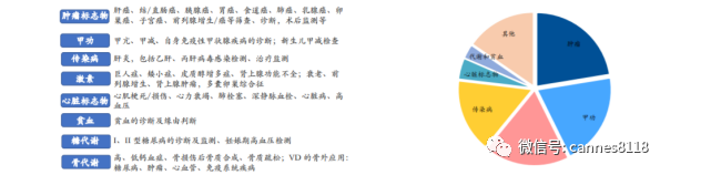 体外诊断国产化崛起，化学发光乘风破浪，再启航