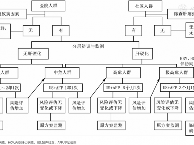 19条推荐 | 原发性肝癌的分层筛查与监测指南(2020版)