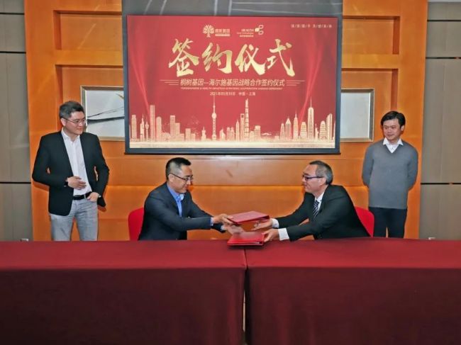 桐树基因携手海尔施基因，国产首款核酸检测“金标准”平台造福更多MSI-H肿瘤癌者