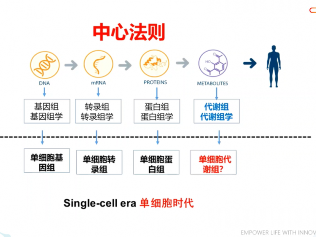 当代谢组学技术遇到单细胞测序技术，会产生什么火花？