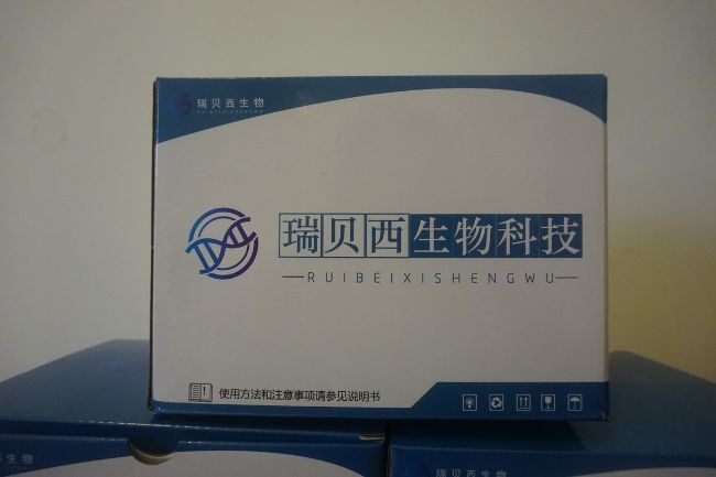 南京瑞贝西生物科技有限公司
