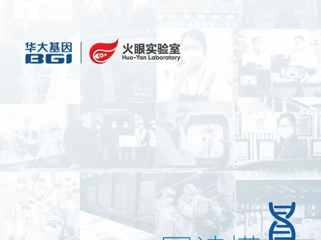 一图读懂！华大基因2020年年报 | 长图