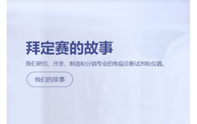 英国拜定赛集团