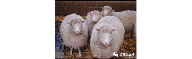 迈瑞豪购海肽 到底值不值？