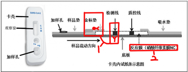 新冠抗原检测市场会成为下一个“口罩”吗？