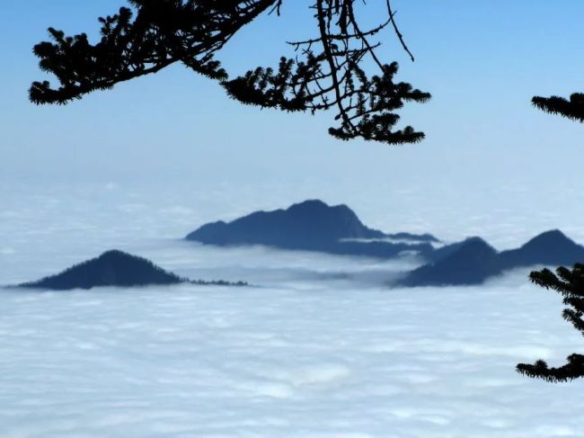 【冯仁丰】究竟什么是不确定度？（3）欧洲计量学家推出以不确定度进行质量控制，不是 ...