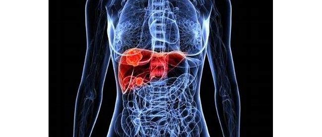 ASCO 2021：肝癌研究摘要选读