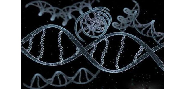 Nature Reviews Cancer综述：长非编码RNA在肿瘤转移中的作用