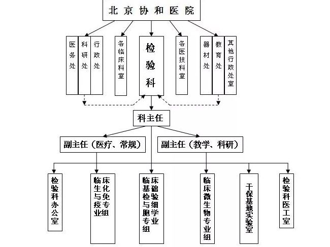 区域医学检验中心（开展项目、科室设置、人员、设备、制度）设计规划布局全套给你！（ ...