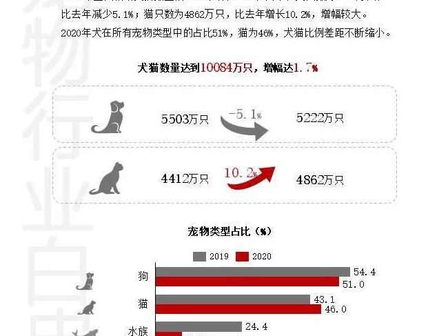 千亿级的萌宠市场，谁能分到最大蛋糕？