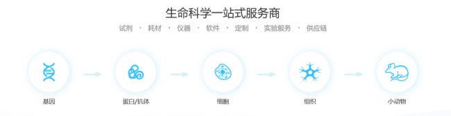 研发费用率仅1%，这家IPO生物科技公司涉嫌虚增业绩