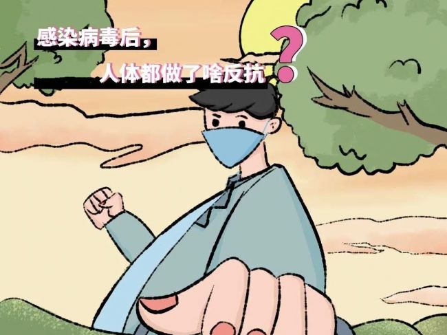 感染病毒后，人体做了哪些反抗？