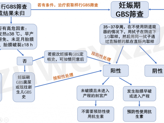 专家共识｜预防围产期B族链球菌病（中国）专家共识（含流程图）