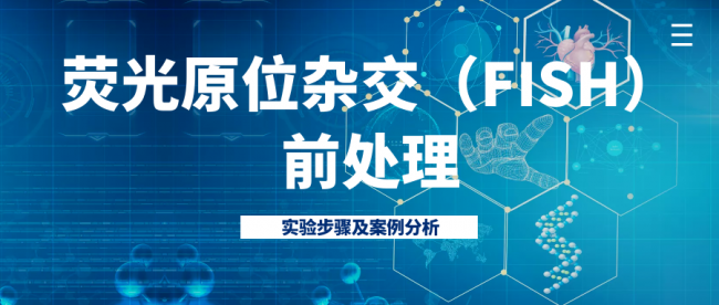 荧光原位杂交(FISH)前处理实验步骤详解及案例分析