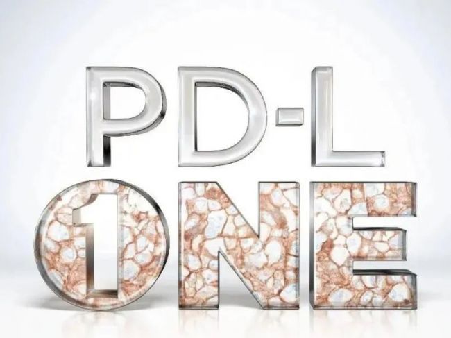 PD-L1 伴随诊断试剂检测的国际多中心室间质评