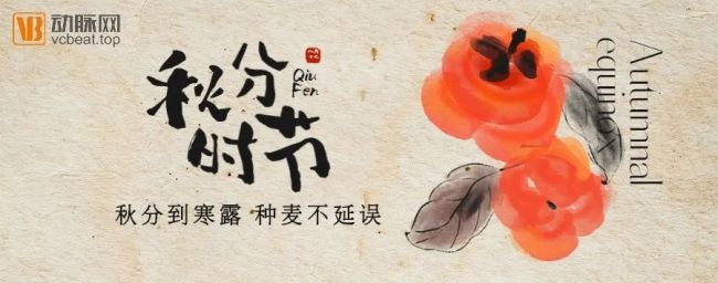 3亿人撑起的千亿级市场，国内外慢病数字化管理标杆都在如何运营？