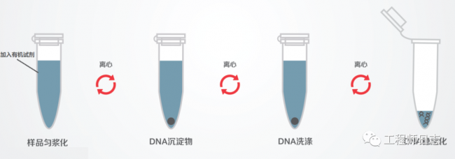 技术贴：一文了解核酸提取技术