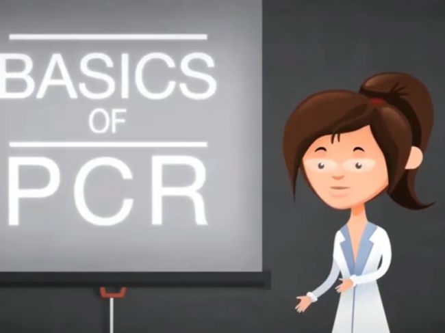 诊断技术 | PCR简介