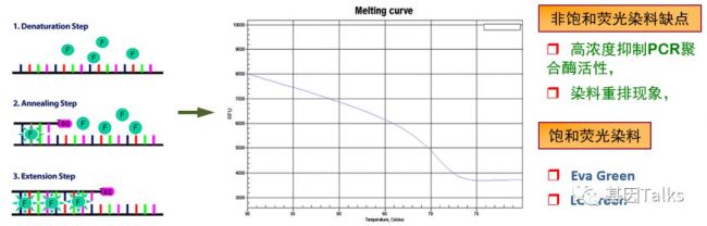 分子技术丨HRM检测技术介绍