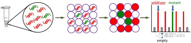 分子技术丨dPCR检测技术介绍