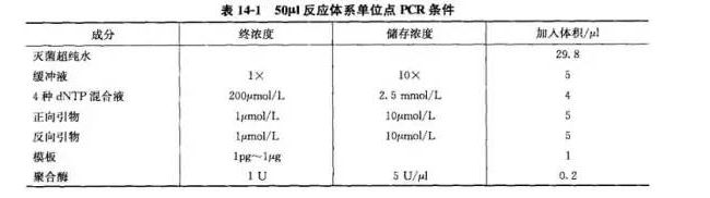 入门篇丨多重PCR(MPCR)，复合PCR原理材料试验操作（干货收藏）！