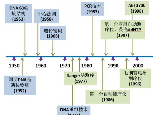 分子技术丨Sanger检测技术介绍