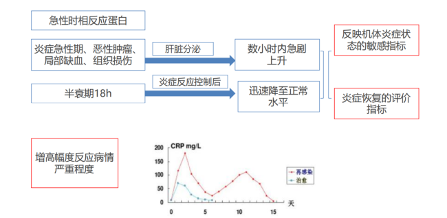 小朋友发烧, 测了CRP/SAA, 你会看结果吗？