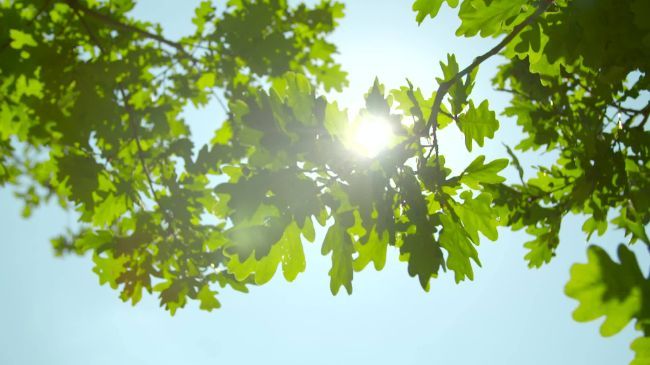 一管血实现“全癌早筛、癌前监测” ，艾沐必康已取得技术突破