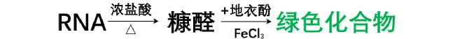 核酸浓度测定方法