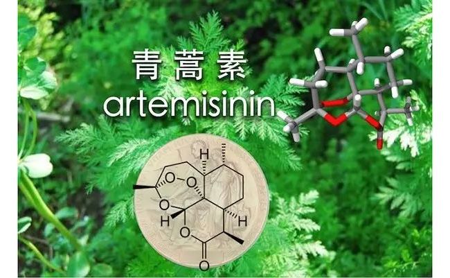 新药研发成功之秘籍：发现源于观察，生产成于先进技术