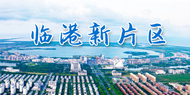 中国（上海）自由贸易试验区临港新片区