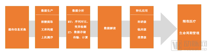 数据体量激增、商业探索初显，基因检测步入智能化时代？