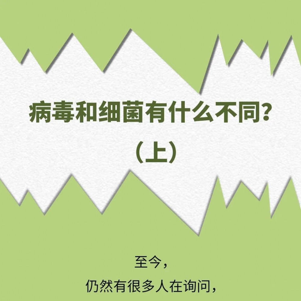 病毒和细菌有什么不同？（上集）