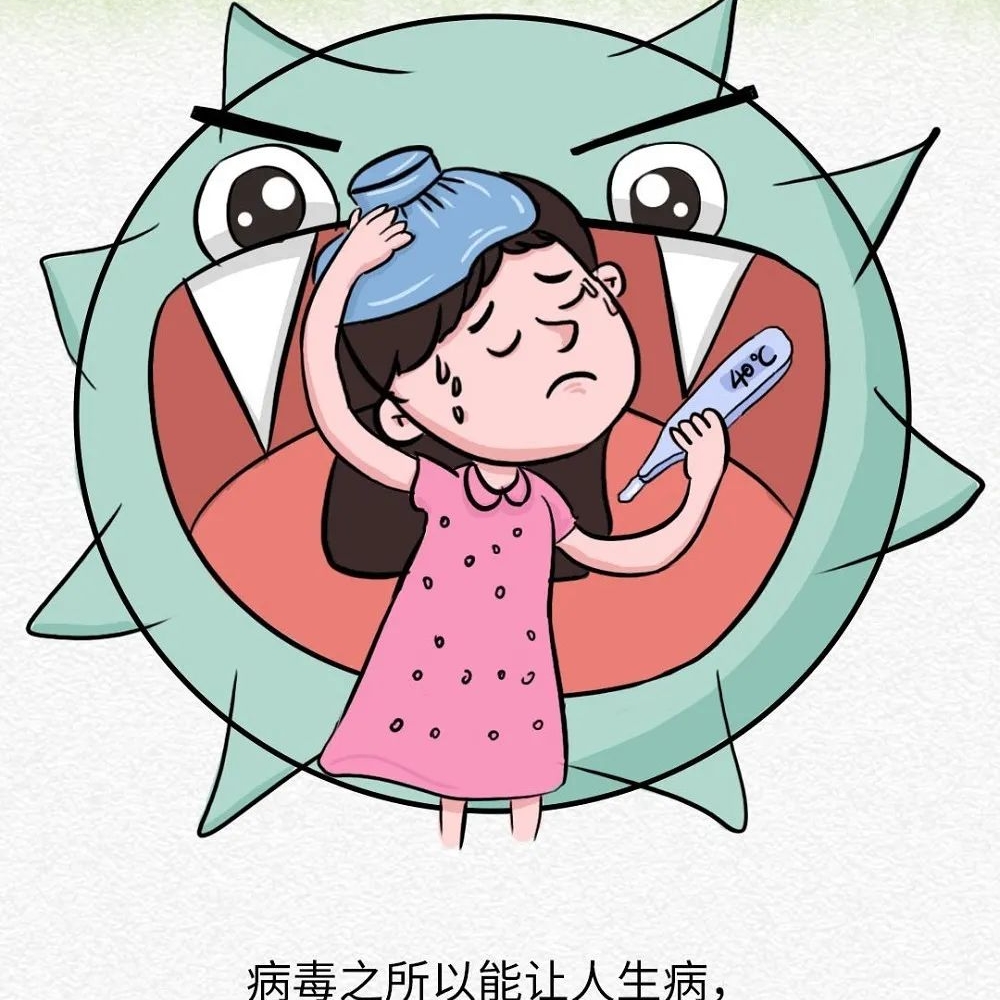 病毒和细菌有什么不同？（下集）
