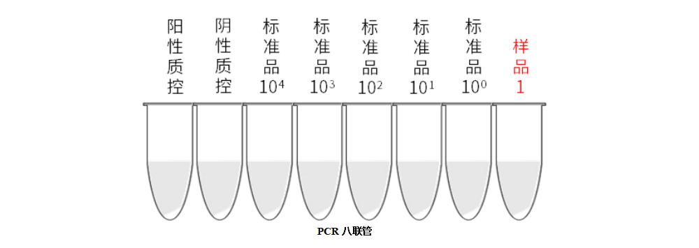 实时荧光PCR：内标定量与外标定量的差异