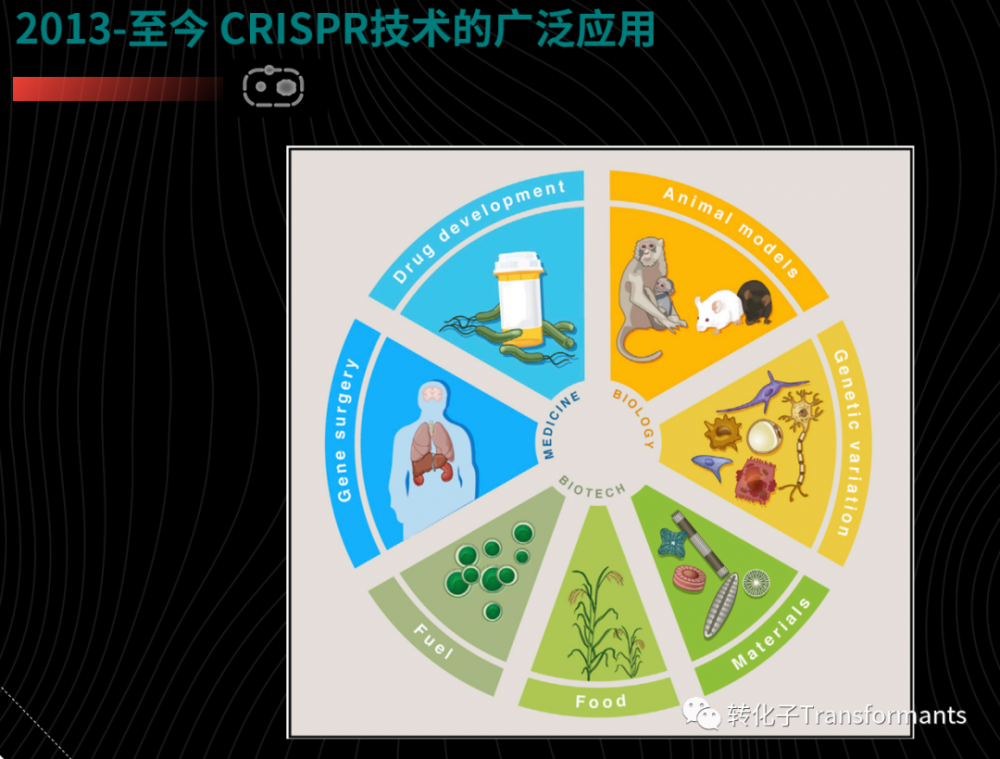 IVD技术丨CRISPR简史与其他