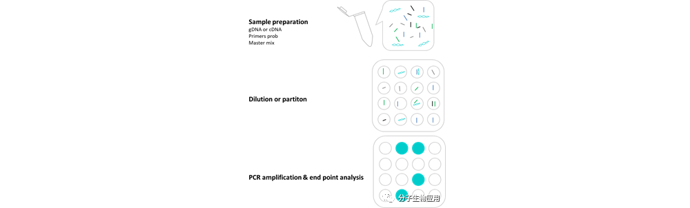 数字PCR实验篇|| 数字PCR实验成功的关键因素