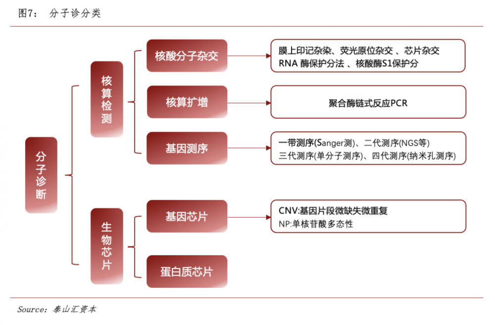 体外诊断行业专题报告