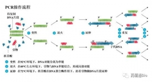 干货丨数字PCR技术、应用、市场发展梳理
