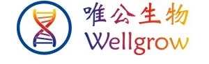 唯公科技完成数亿元B+轮融资，持续深耕流式荧光