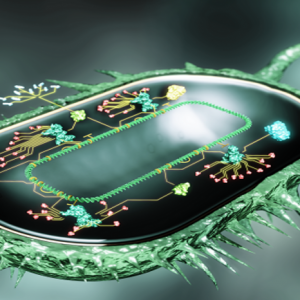 IVD相关丨2022年度“合成生物学”重点专项项目申报指南