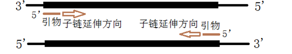 PCR、等温扩增、测序，分子诊断技术全解析！