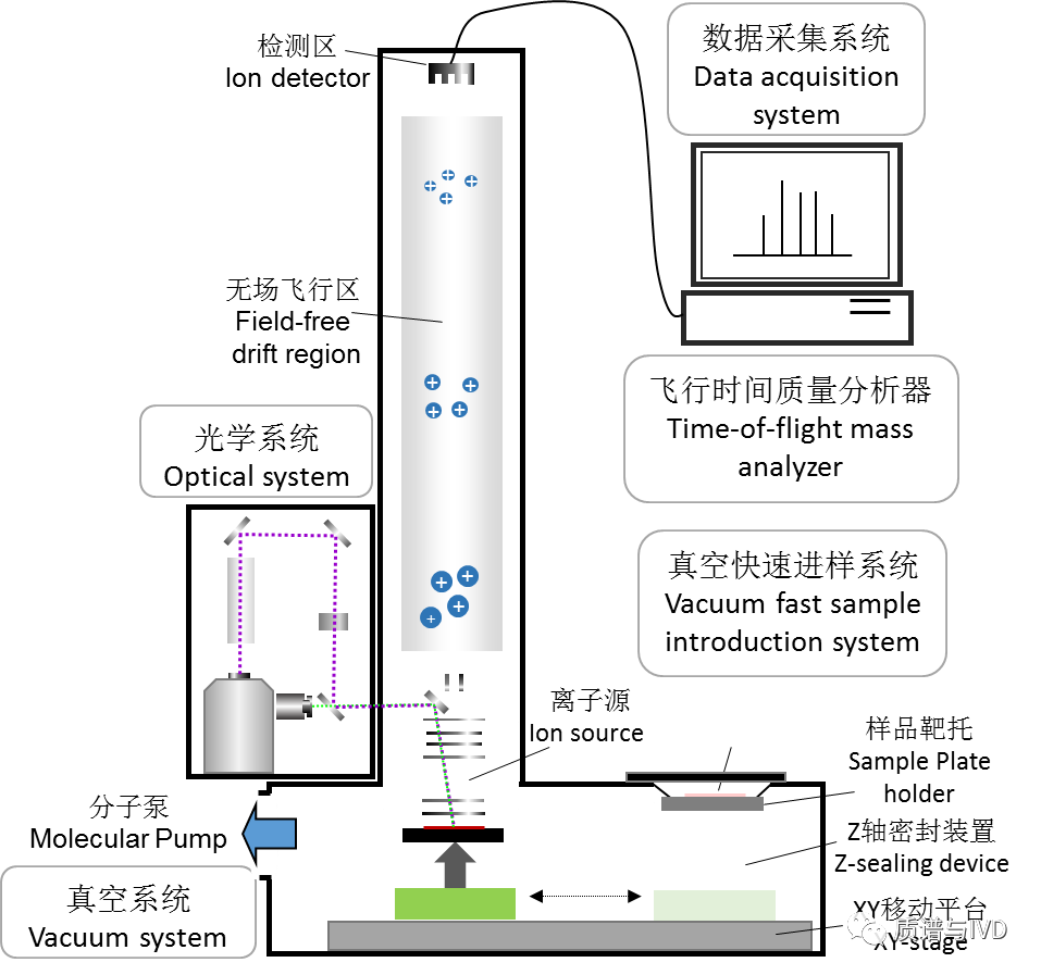 MALDI-TOF MS可以用来鉴定微生物，除此之外你对它还了解什么？