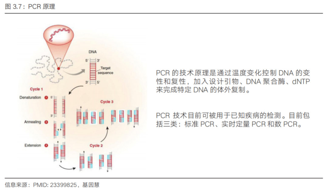 GS-441524 PCR test | Shaanxi BLOOM Tech Co., Ltd GS-441524 PCR test | Shaanxi BLOOM Tech Co., Ltd