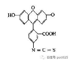 免疫荧光技术：荧光素、标记基础知识！