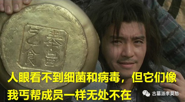 从“有机汤”到“战逃反应”：细菌为啥没能制霸地球？