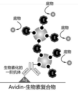 技术｜各种不同的ELISA检测技术