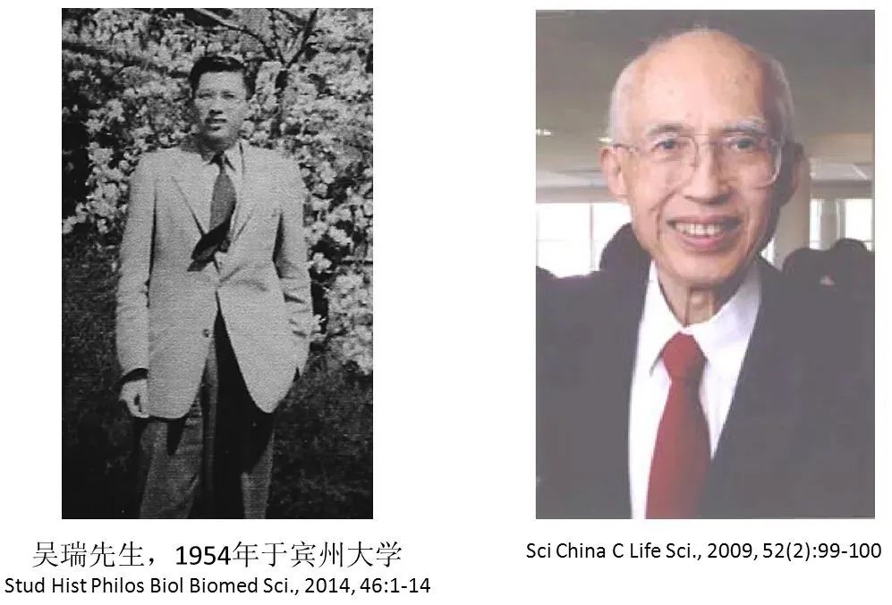 一文看全！超级测序仪争霸战和81家测序公司（截至202206）