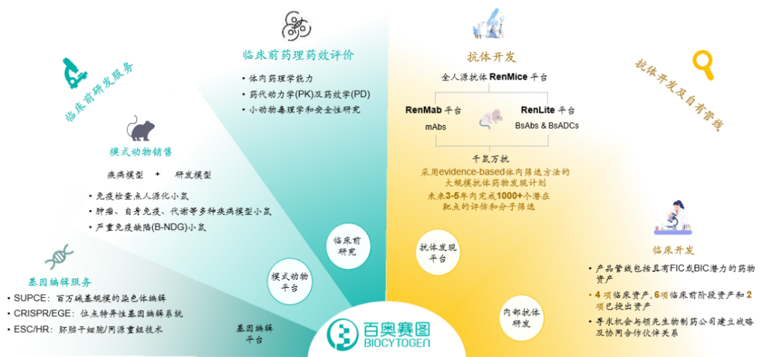 手握最稀缺的“下金蛋”资产，“基因编辑第一股”即将登场